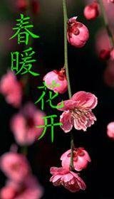 春暖花开